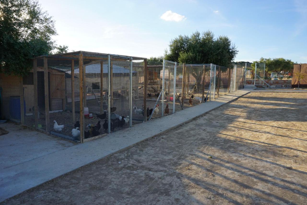 Cuchi Farm Villa Chinchon Exterior photo